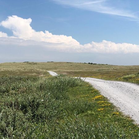 Ballumerhoeve Petit Lodge Zewnętrze zdjęcie